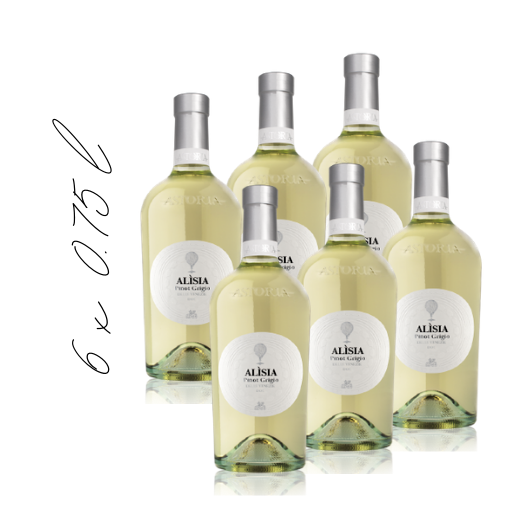 ALISIA Pinot Grigio ﻿delle Venezie DOC karton - bijelo vino - Astoria Wines - okusi italije