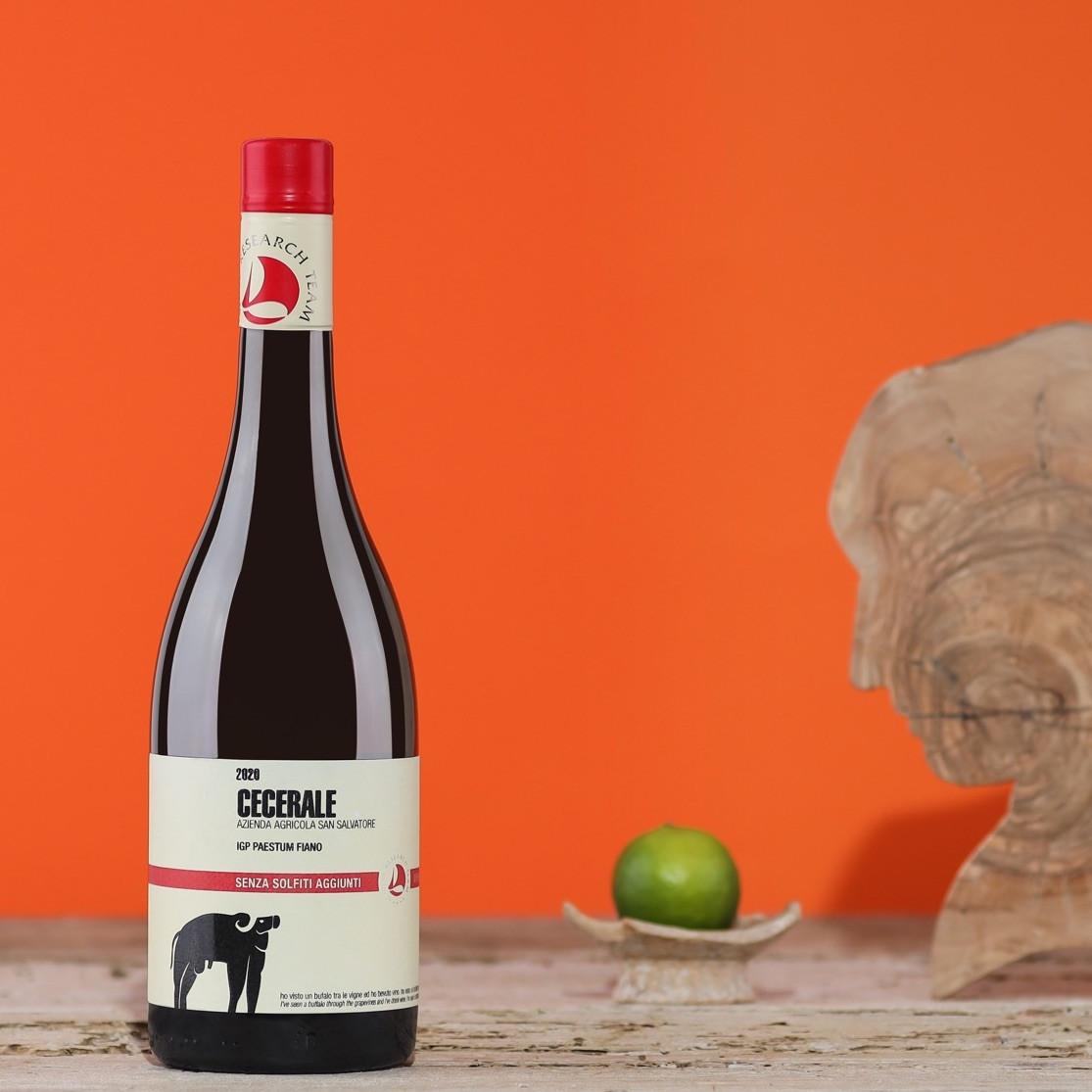 Fiano San Salvatore bijelo vino bez sulfita