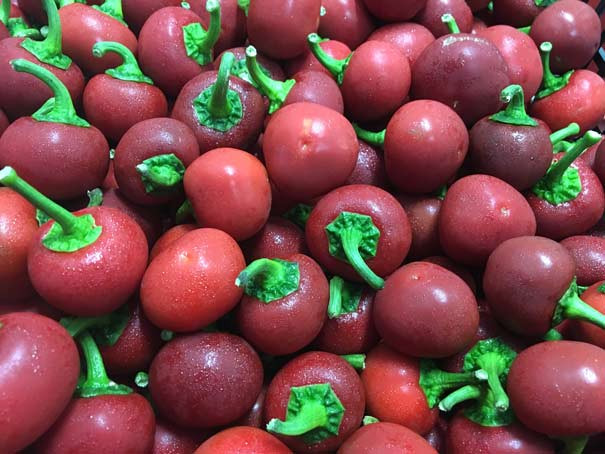 Cherry čili papričice