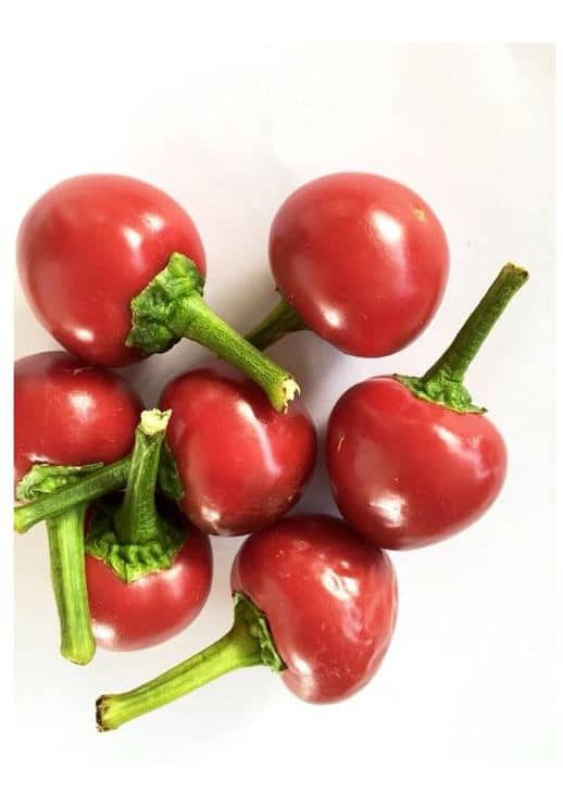 Čili papričice ciliegione