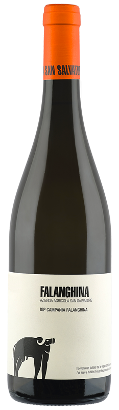 Falanghina Campania IGP bijelo vino OKUSI ITALIJE