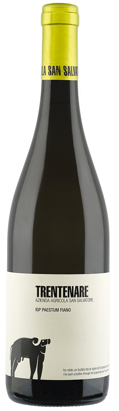 Trentenare Fiano Paestum IGP bijelo vino OKUSI ITALIJE