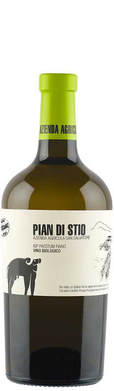 Pian di Stio FIANO Paestum IGP BIO bijelo vino 0,75L