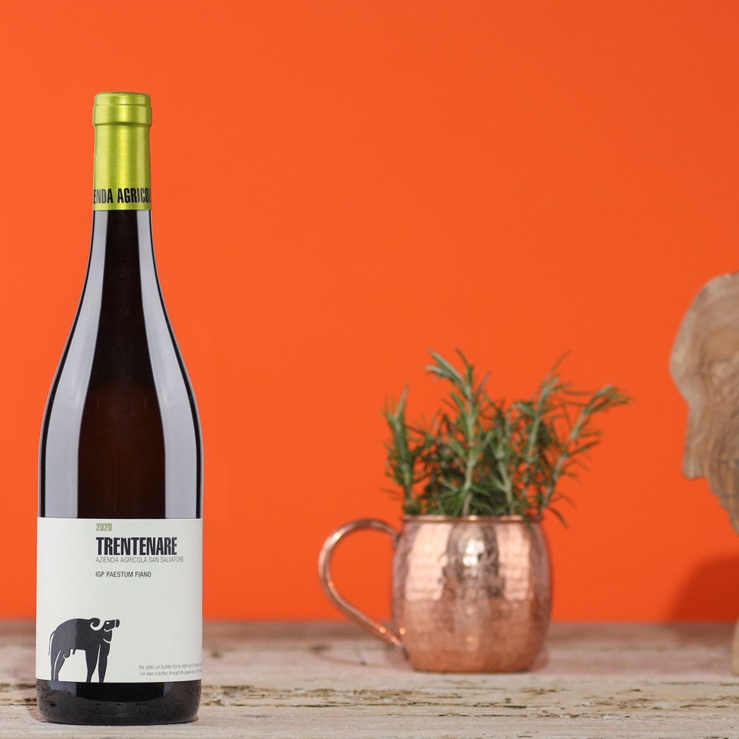 San Salvatore Fiano Paestum IGP bijelo vino 