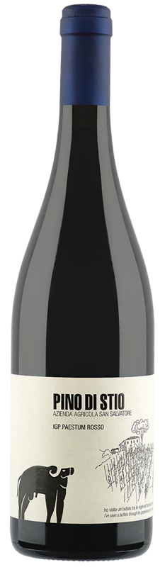 PINO DI STIO Modri Pinot Paestum IGP - Pinot Nero