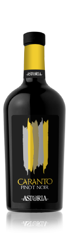 CARANTO Pinot Noir Modri pinot crveno vino iz Italije