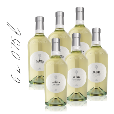 Karton ALISIA Pinot Grigio ﻿delle Venezie DOC bijelo vino 6 x 0,75L 