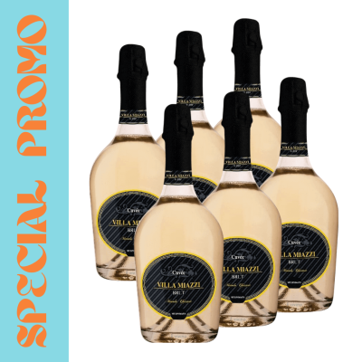 PROSECCO DOC PJENUŠAVO VINO 6 X 0,75L